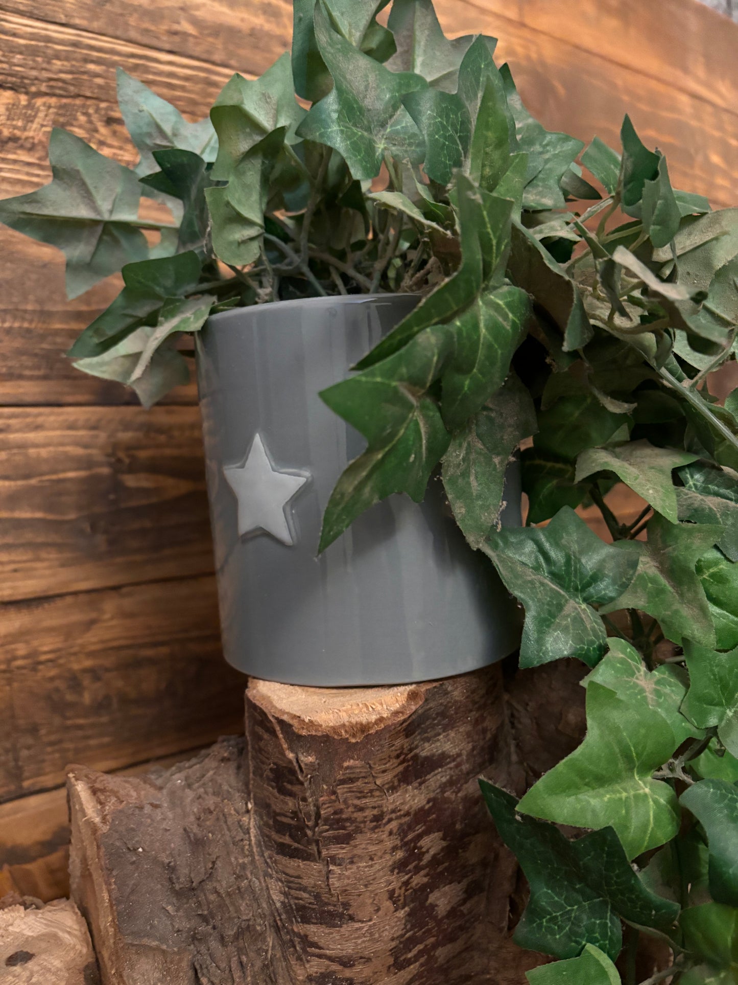 Plant pot with star detail