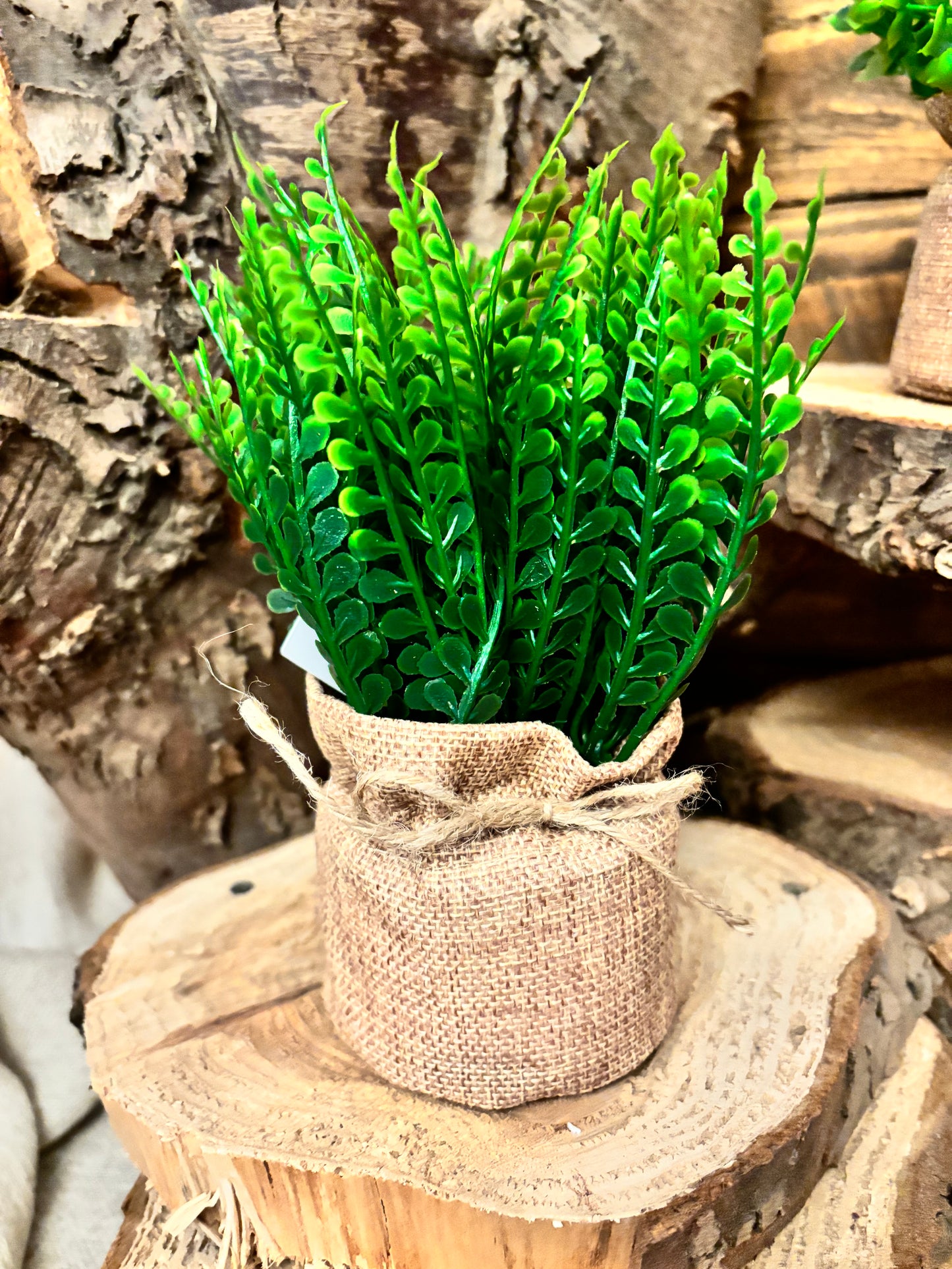 Artificial Ferns in a bag