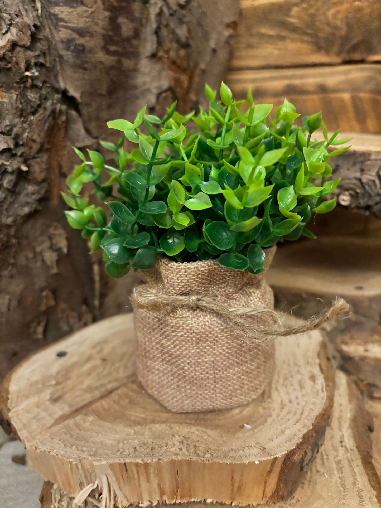 Artificial Ferns in a bag